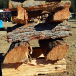 Concurs d'Estelladors de Torrelles de Llobregat