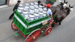 El Carro de llet ATO als Tres Tombs de Catalunya