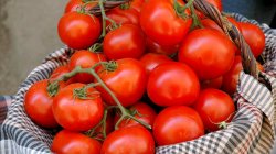 Dinamització i promoció d'espais comercials, i de mercats 