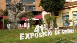 Exposició de Cireres a Sant Climent de Llobregat