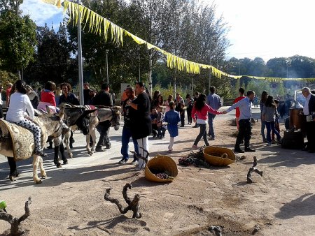 Fira dels Embarrats a Sant Joan de Vilatorrada