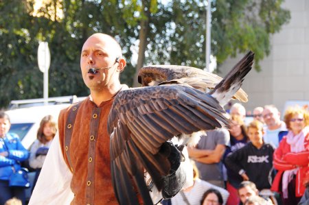 Mercat Medieval de Sant Esteve de Palautordera