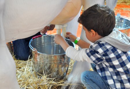 Fira de Nadal de Cabrils