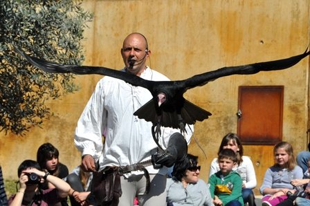 Festa del Elois de Masquefa