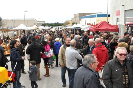 Festa del Vi jove i l'Oli novell de Sant Jaume dels Domenys