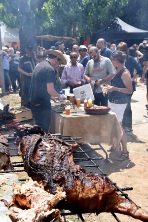 Festa del Timbaler del Bruc