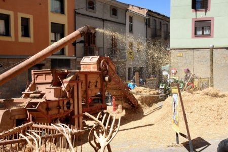 Monacàlia, la fira de l'abat Monacàlia, la fira de l'abat
