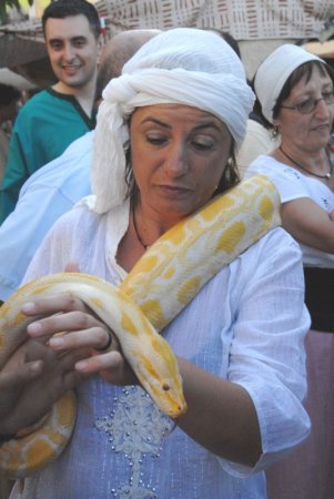 Móra Morisca de Móra d'Ebre