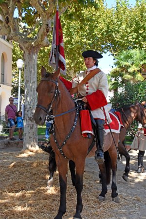 Festa des Miquelets a Olesa de Montserrat