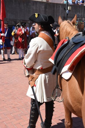 Festa des Miquelets a Olesa de Montserrat