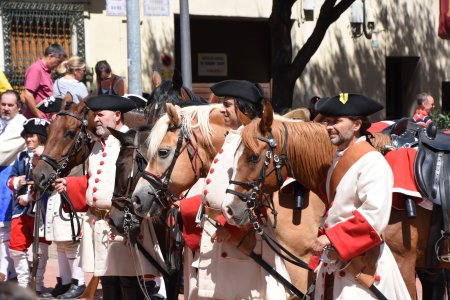 	Festa des Miquelets a Olesa de Montserrat