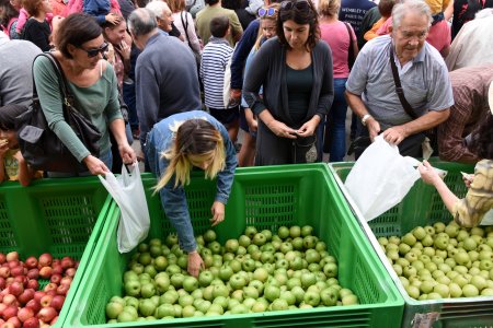 Fira de la Poma d'Ullà