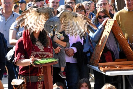 Mercat Medieval de Sant Esteve de Palautordera