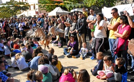 Mercat Medieval de Sant Esteve de Palautordera