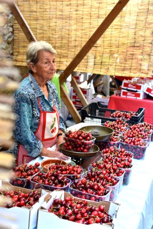 Festa de la Cirera a Torrelles de Llobregat