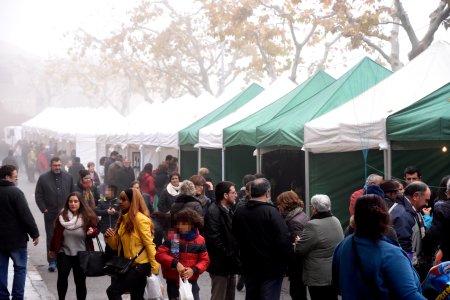 Festa de l'Oli a la Fatarella