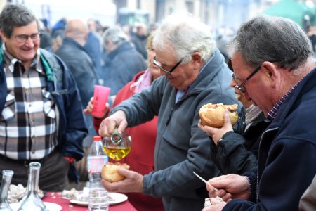 Festa de l'Oli a la Fatarella