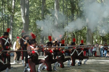 Els Setges de Girona