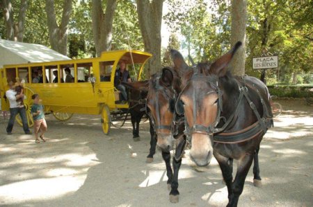 Els Setges de Girona