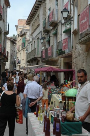 Festa dels Negociants i Traginers de Copons