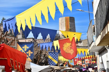 Baronia d'Òdena, La Fira dels castells i terra de frontera