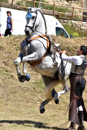 Festa del Panellet a Castellgalí