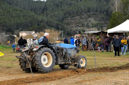 Festa dels Estelladors i els oficis del bosc