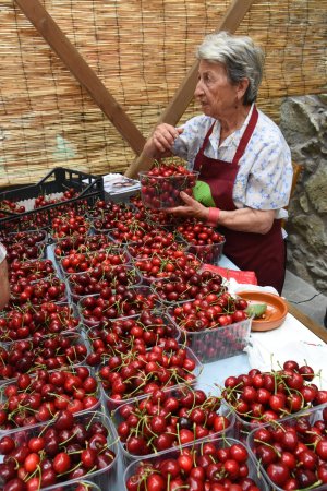 Festa de la Cirera a Torrelles de Llobregat