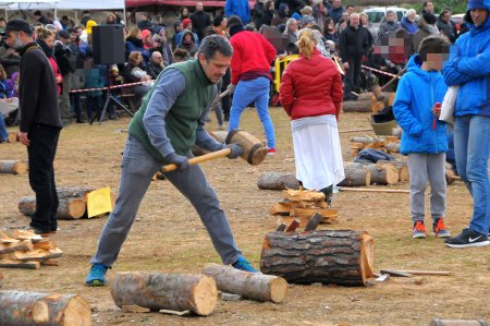 Festa dels Estelladors i els oficis del bosc