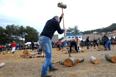 Festa dels Estelladors i els oficis del bosc