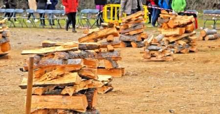 Festa dels Estelladors i els oficis del bosc