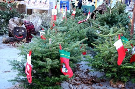 Fira de Nadal de Barberà del Vallès