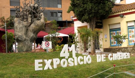 Exposició de Cireres a Sant Climent de Llobregat