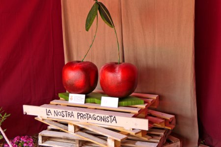 Exposició de Cireres a Sant Climent de Llobregat