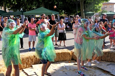 Fira de l'Ou de Sant Guim de Freixenet