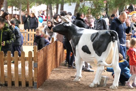 Fira de Nadal de Montgat