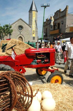 Fira de l'Ou de Sant Guim de Freixenet