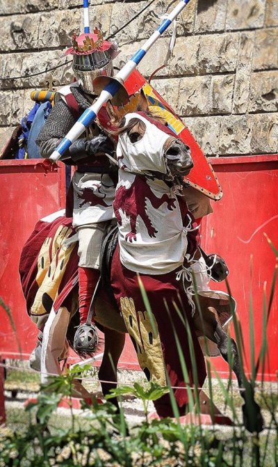 BARONIA D'ÒDENA, La fira dels castells i terra de Frontera