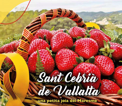 Fira de la Maduixa a Sant Cebria de Vallalta