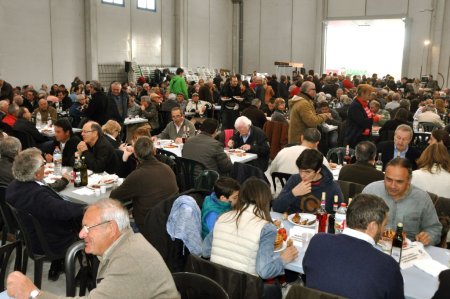 Festa del Vi jove i l'Oli novell de Sant Jaume dels Domenys Festa del Vi jove i l'Oli novell de Sant Jaume dels Domenys