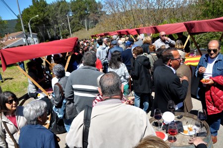 Festa de Sant Marc a Sant Salvador de Guardiola