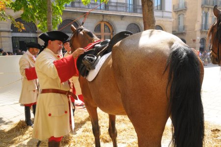 El Pedrenyal: Recreació Històrica i Militar del 1714 