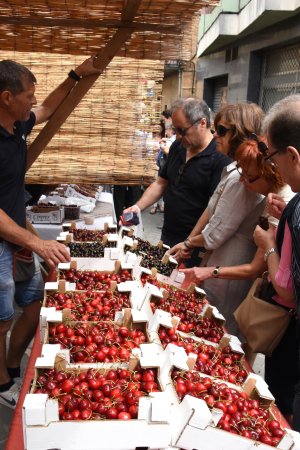 	Festa de la Cirera a Torrelles de Llobregat