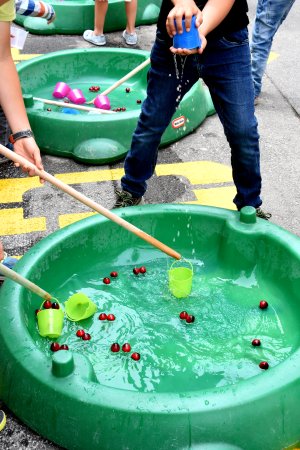 Festa de la Cirera a Torrelles de Llobregat