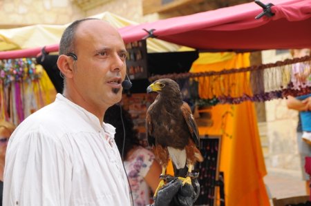 Mercat Medieval de Castellet