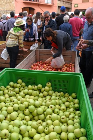 Fira de la Poma d'Ullà