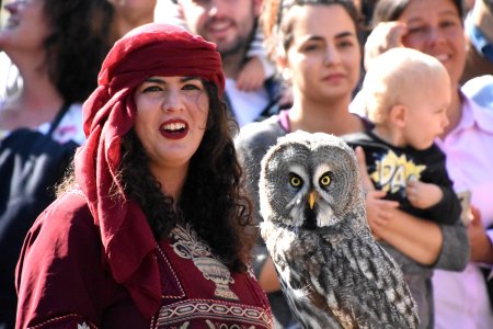 Mercat Medieval del Catllar