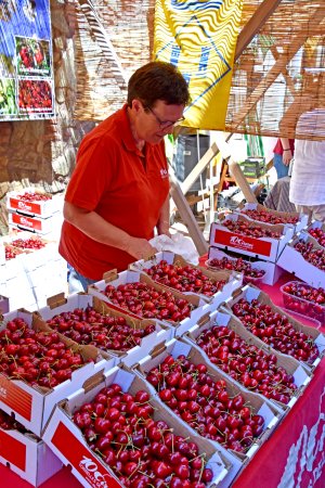 Festa de la Cirera a Torrelles de Llobregat