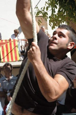 Fira de l'Ametlla de Vilagrassa Fira de l'Ametlla de Vilagrassa