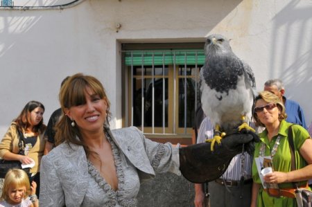 Fira de l'Ametlla de Vilagrassa Fira de l'Ametlla de Vilagrassa